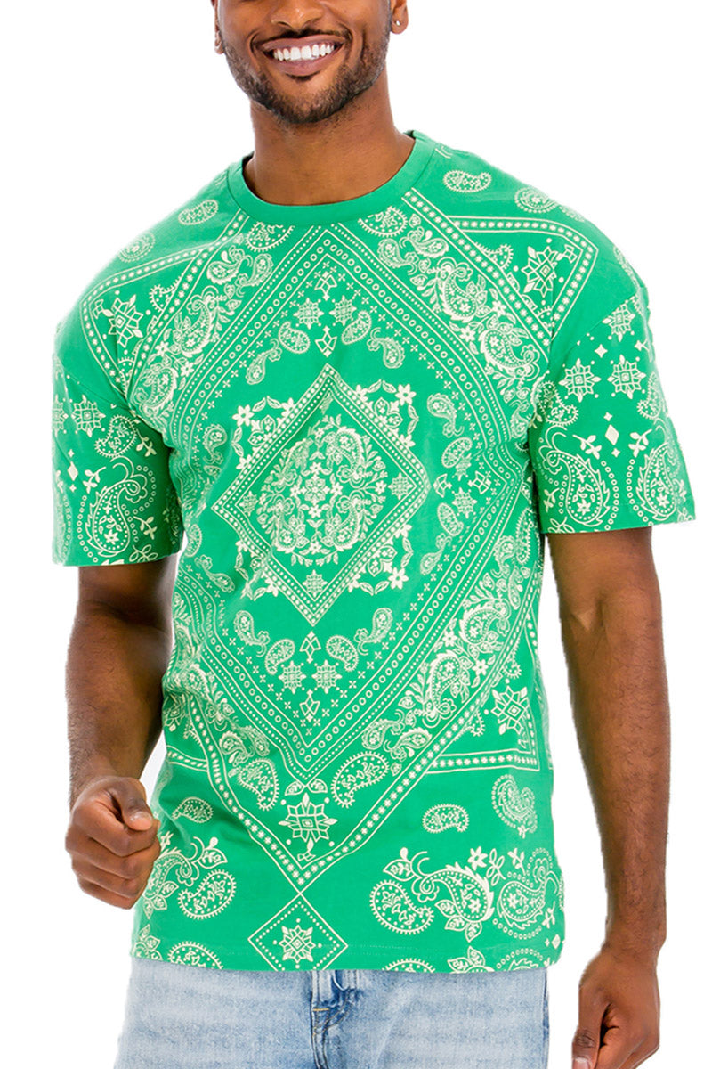 A stylish paisley print T-shirt made of 100% cotton, featuring a round neck and straight hem, perfect for casual wear.