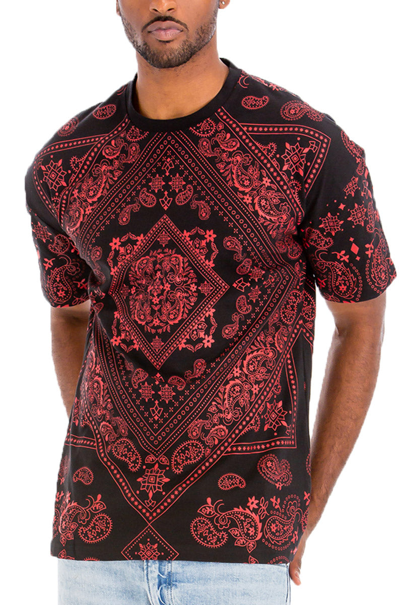 A stylish paisley print T-shirt made of 100% cotton, featuring a round neck and straight hem, perfect for casual wear.