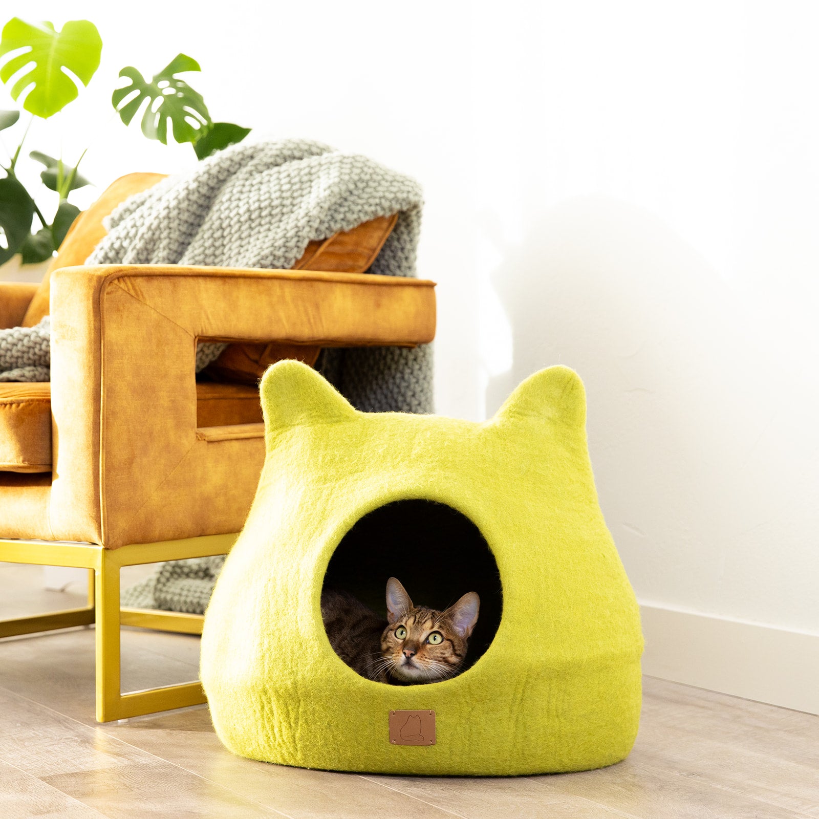 Citrus Green Ear Style Cave made of luxurious felted wool, featuring a peekaboo design for cats to snuggle and play comfortably.