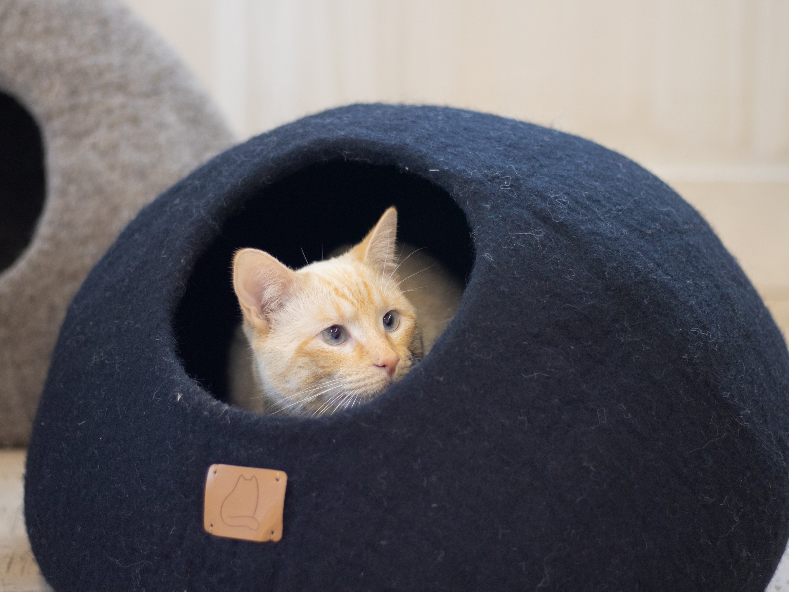 Night Black Round Style Cave, a luxurious felted wool cat bed designed for comfort and style, featuring a peekaboo round design.