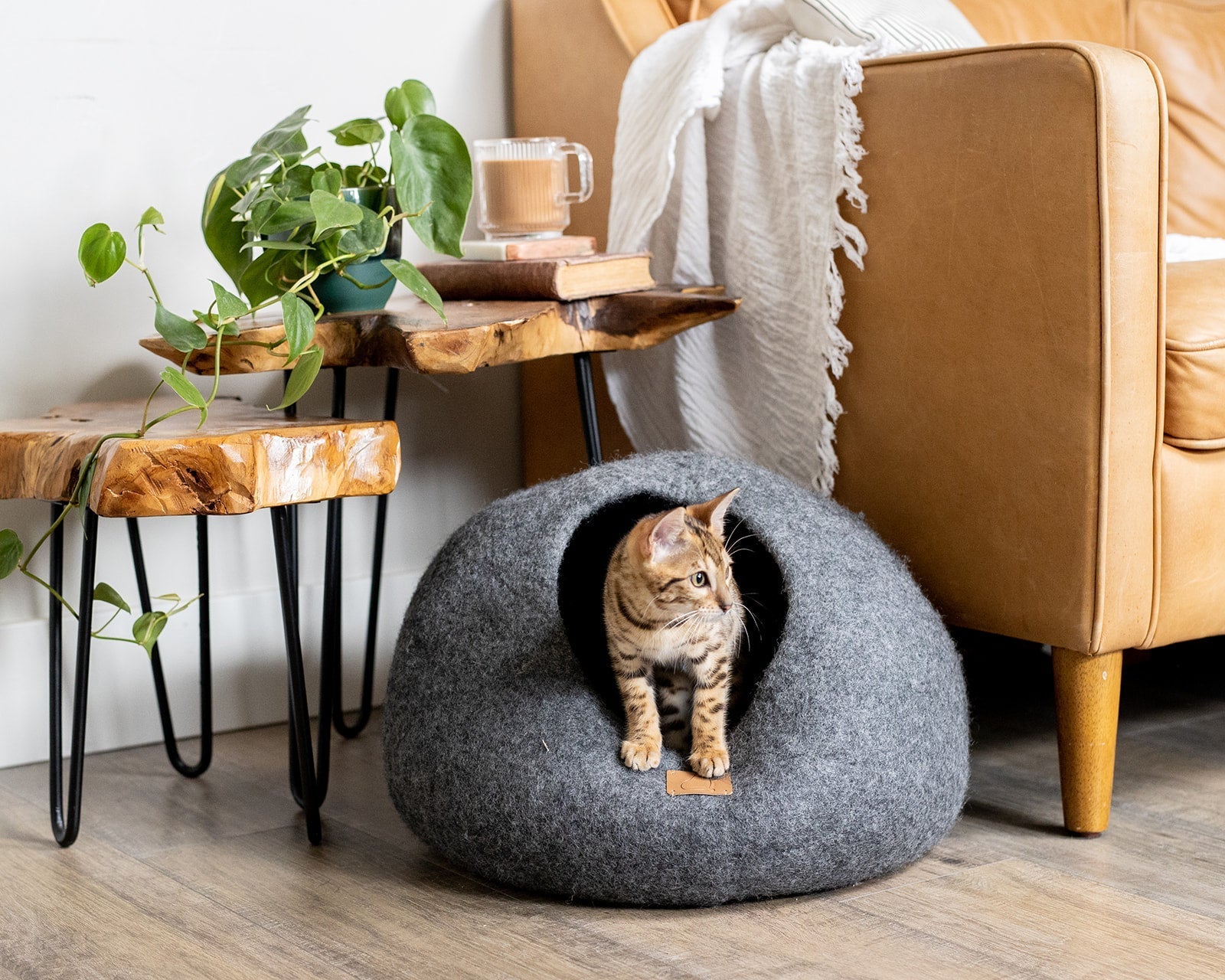 Stone Gray Round Style Cave, a cozy felted wool cat bed with a peekaboo design, perfect for cats of all sizes.