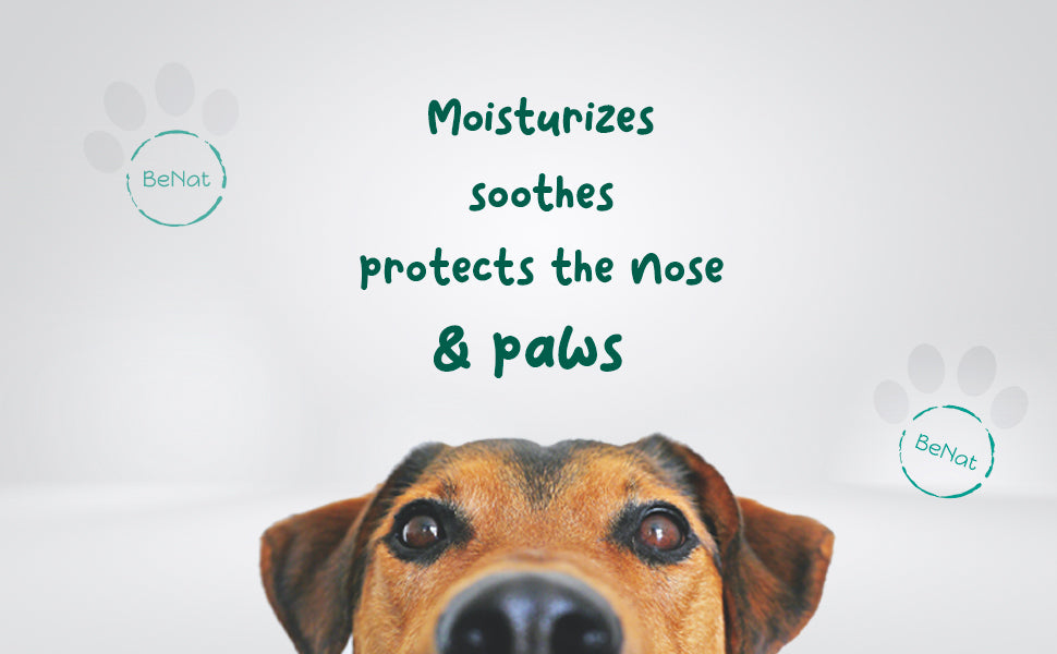 BeNat Pets Furry Pet Balm in eco-friendly packaging, designed for moisturizing and healing dog paws and snouts.