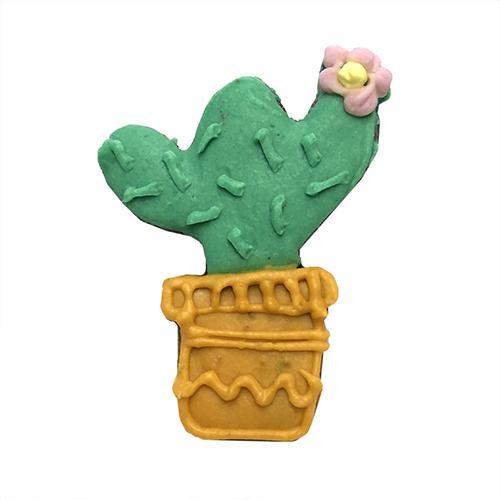 A box of adorable cactus-shaped cookies, made with peanut butter and topped with yogurt coating, perfect for pets.