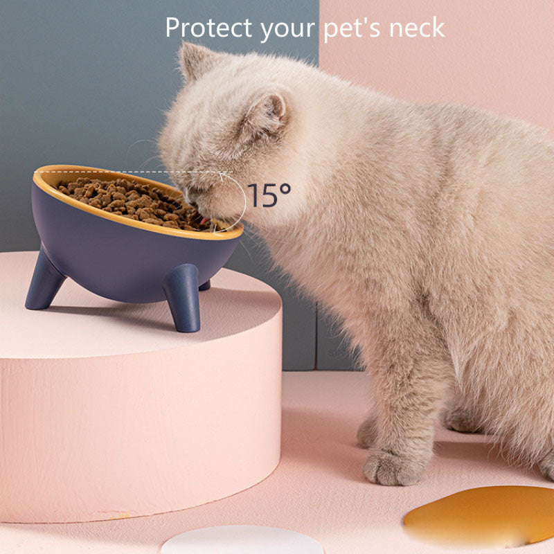 Cat Dog Bowl with Stand in various colors, showcasing its durable design and tilted feeding feature.