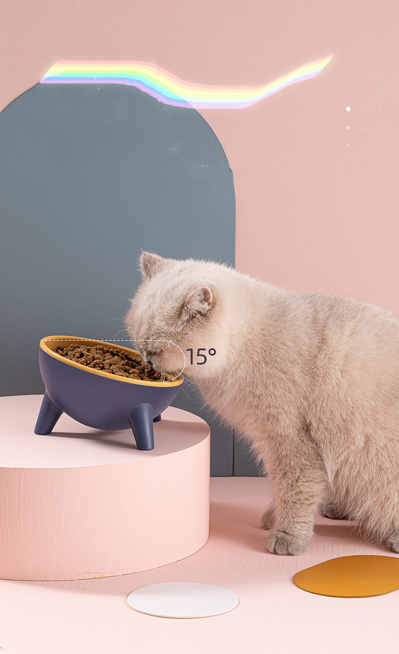 Cat Dog Bowl with Stand in various colors, showcasing its durable design and tilted feeding feature.