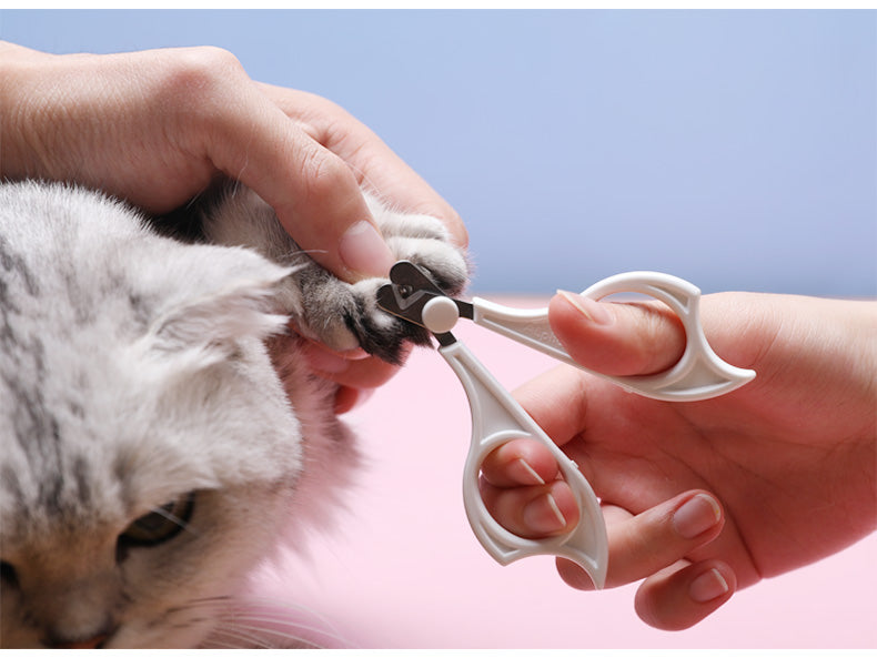 Cats Wool Pet Hair Deshedding Brush Set featuring a de-shedding brush, de-matting tool, and regular comb for effective grooming.