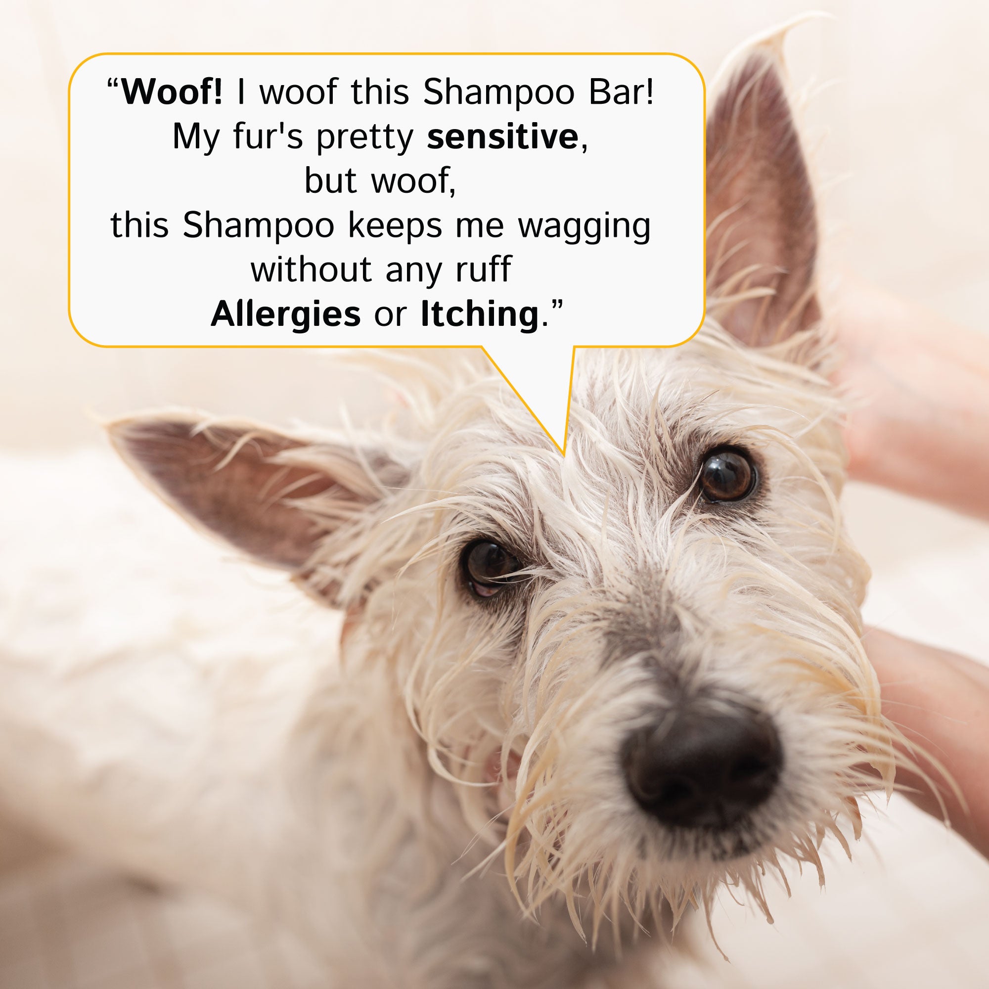 Dog Bar Shampoo with Buckwheat, a natural and organic shampoo bar for dogs, featuring a refreshing aroma and a light massaging effect.