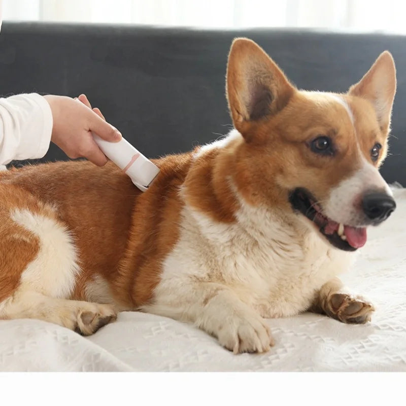 A set of 4-in-1 cordless electric dog hair clippers with various cutter heads and accessories for grooming and nail cutting.