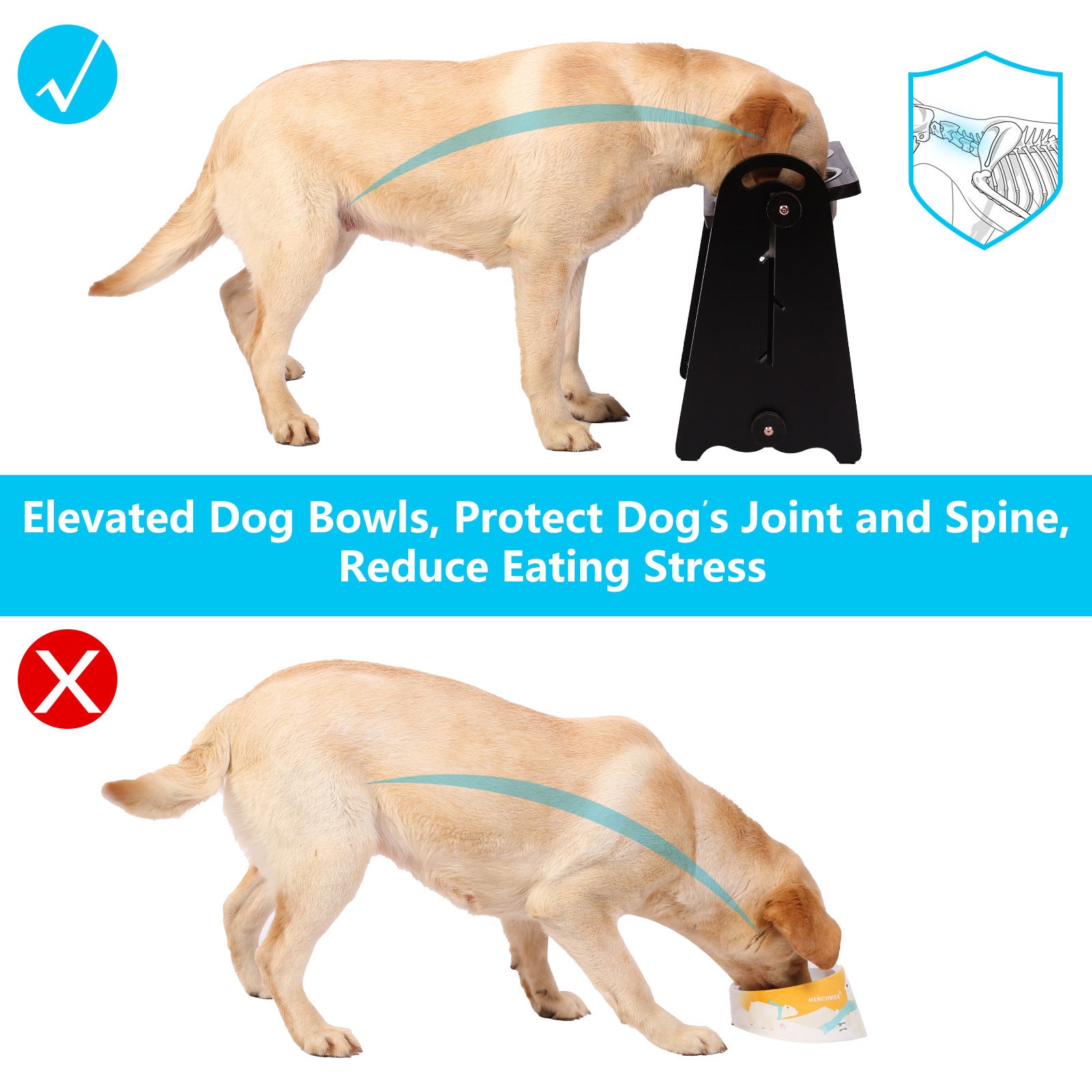 Elevated dog bowls made of solid wood and stainless steel, adjustable heights for medium to large dogs, promoting healthy eating.