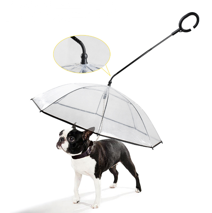 Adjustable transparent pet umbrella with ergonomic handle, designed for walking dogs in the rain.