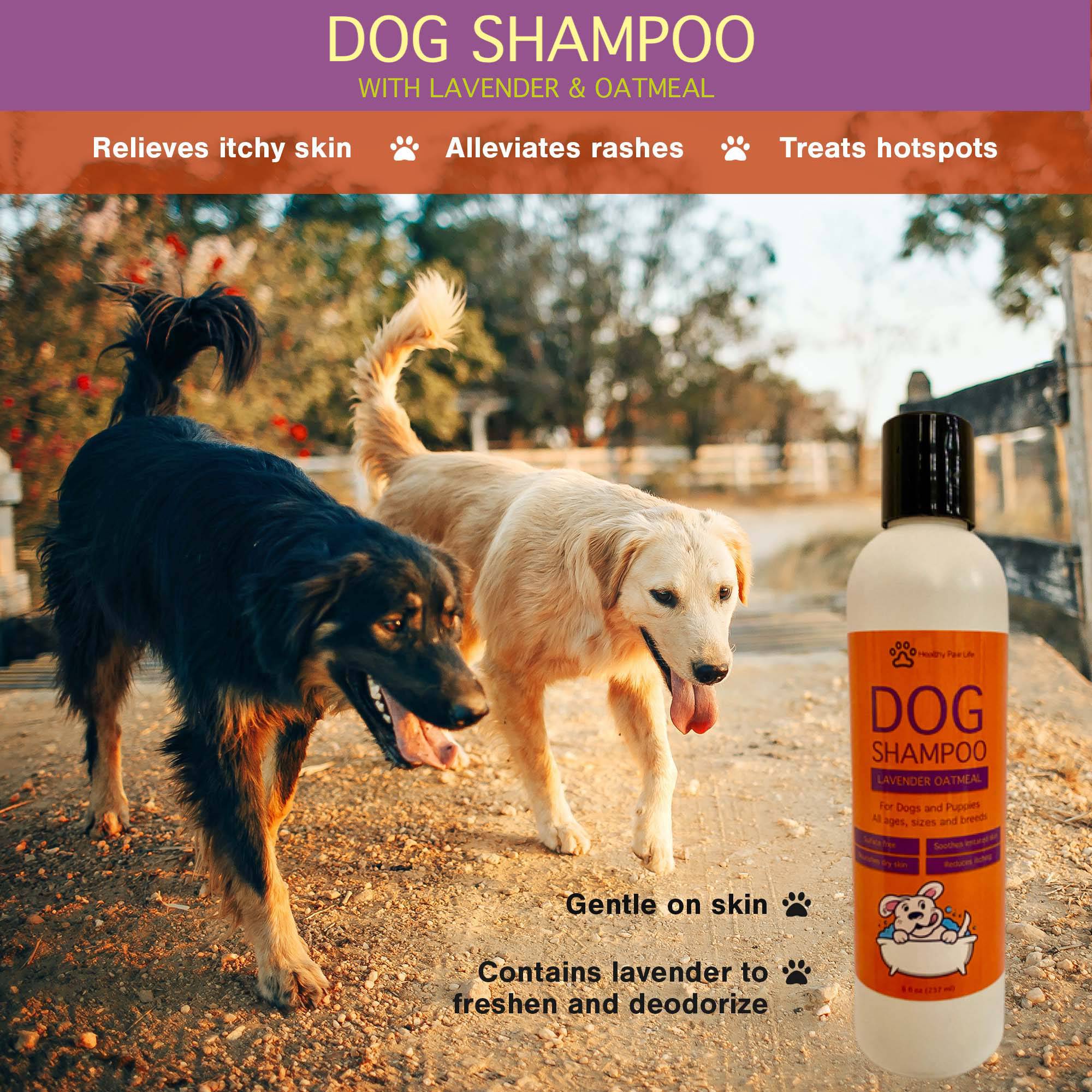 A bottle of Oatmeal Lavender Pet Shampoo featuring a soothing lavender scent and oatmeal for itch relief, designed for all dog breeds.