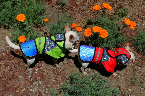 A colorful TBA Raptor Away Safety Jacket for pets, featuring reflective holographic fabric, designed to protect against birds of prey.