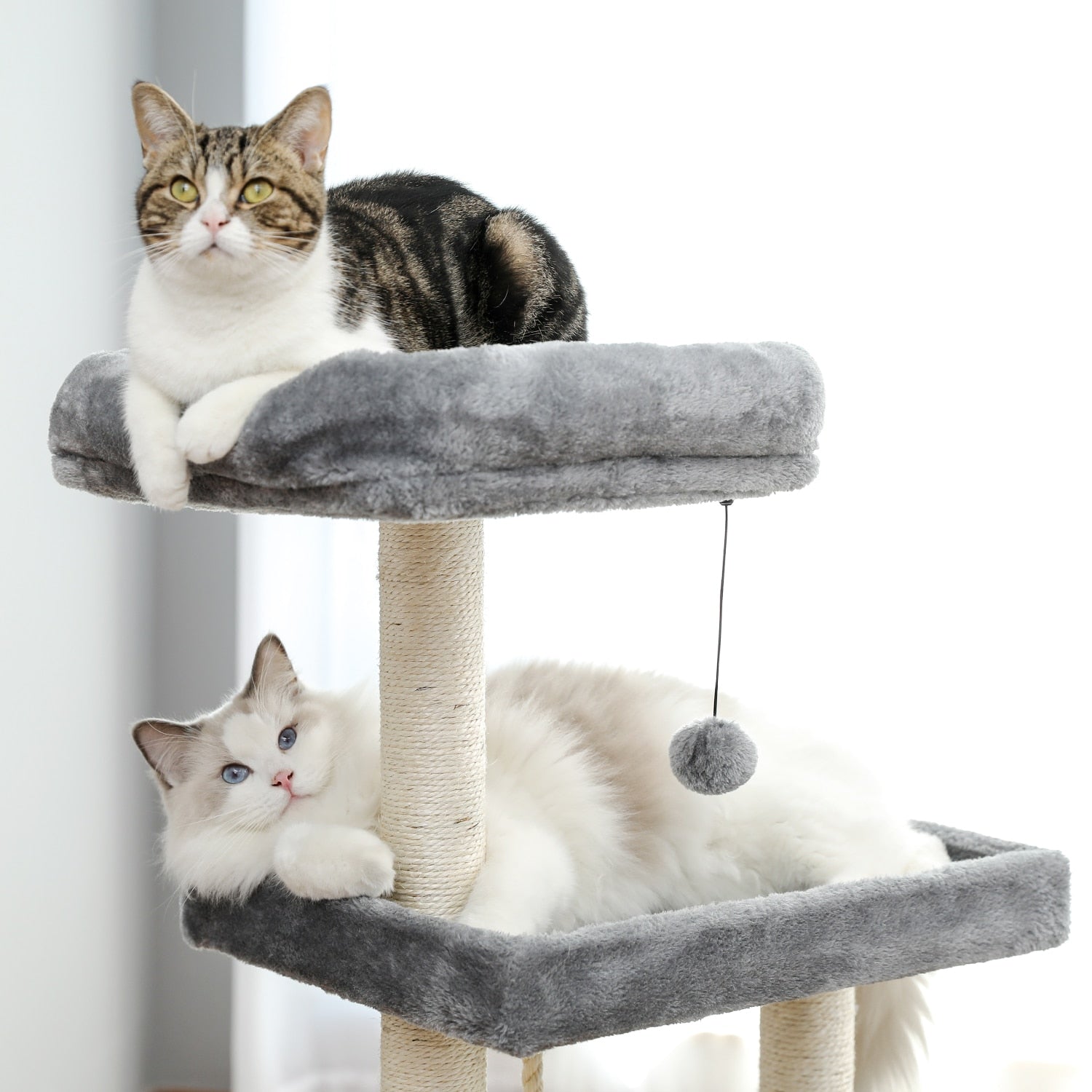 A multi-level Cat Tree Entertainment Tower with stairs, featuring cozy houses, scratching posts, a swinging ball, and sisal rope, designed for playful cats.