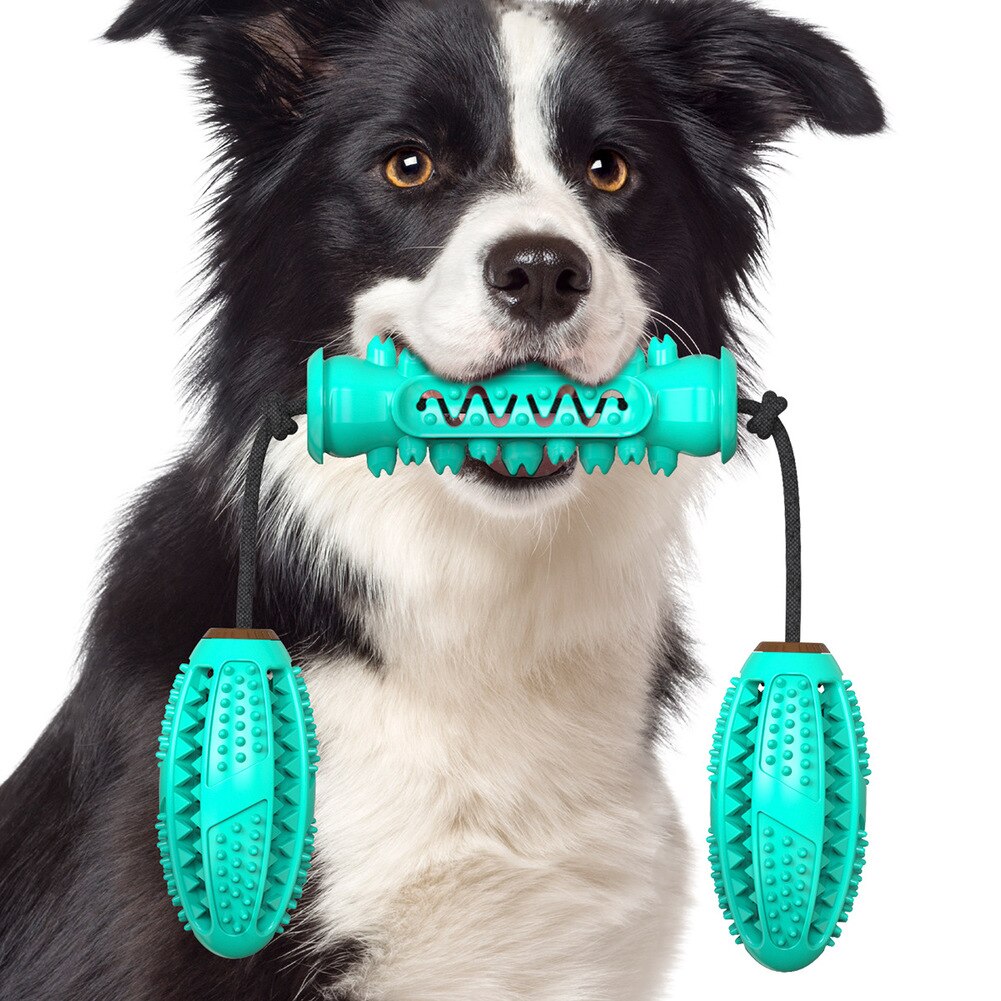 A blue and red rubber bone-shaped dog chew toy designed for dental cleaning, featuring high molar bumps and a channel for pet toothpaste.