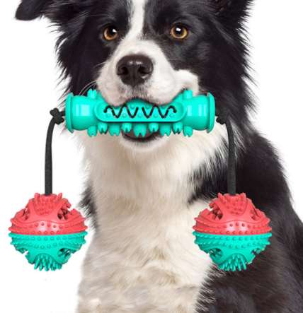 A blue and red rubber bone-shaped dog chew toy designed for dental cleaning, featuring high molar bumps and a channel for pet toothpaste.