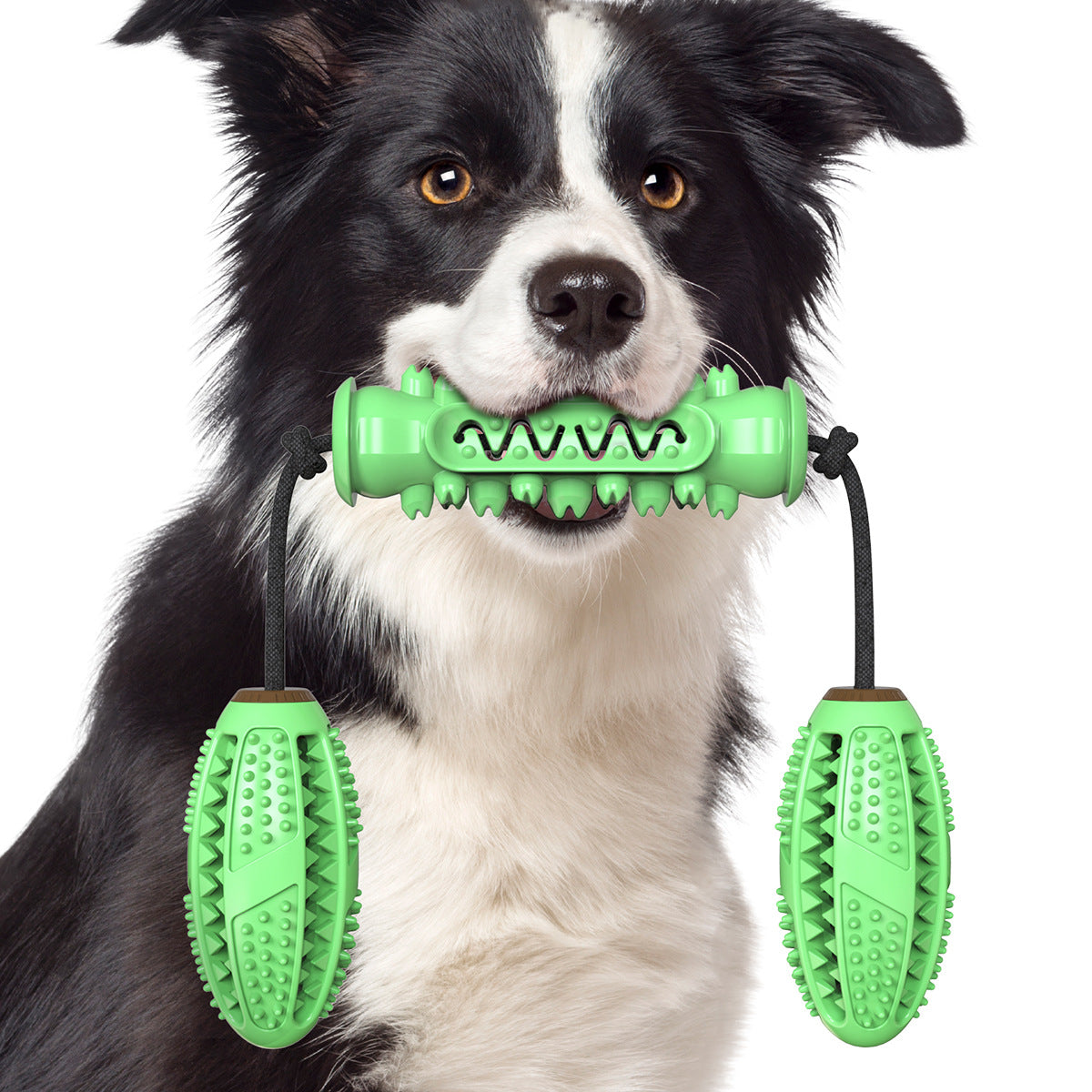 A blue and red rubber bone-shaped dog chew toy designed for dental cleaning, featuring high molar bumps and a channel for pet toothpaste.