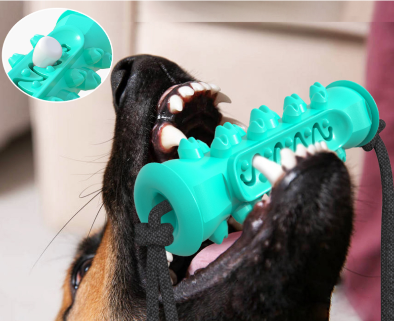 A blue and red rubber bone-shaped dog chew toy designed for dental cleaning, featuring high molar bumps and a channel for pet toothpaste.