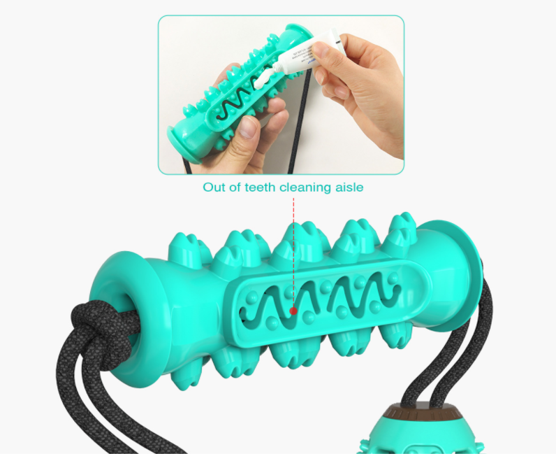 A blue and red rubber bone-shaped dog chew toy designed for dental cleaning, featuring high molar bumps and a channel for pet toothpaste.