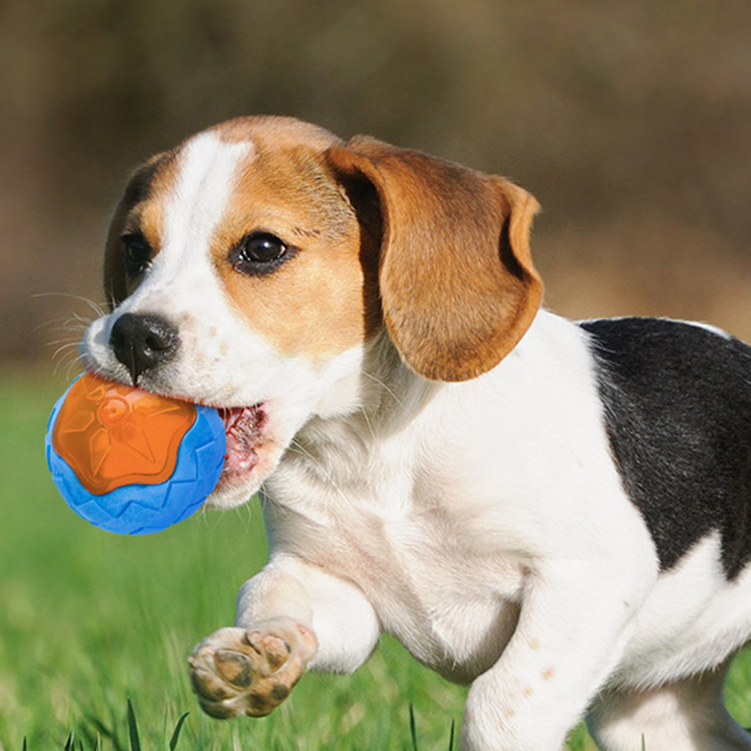 A colorful Dog Toy Ball made of TPR, featuring a glowing design and audible sound, perfect for engaging play and dental health.