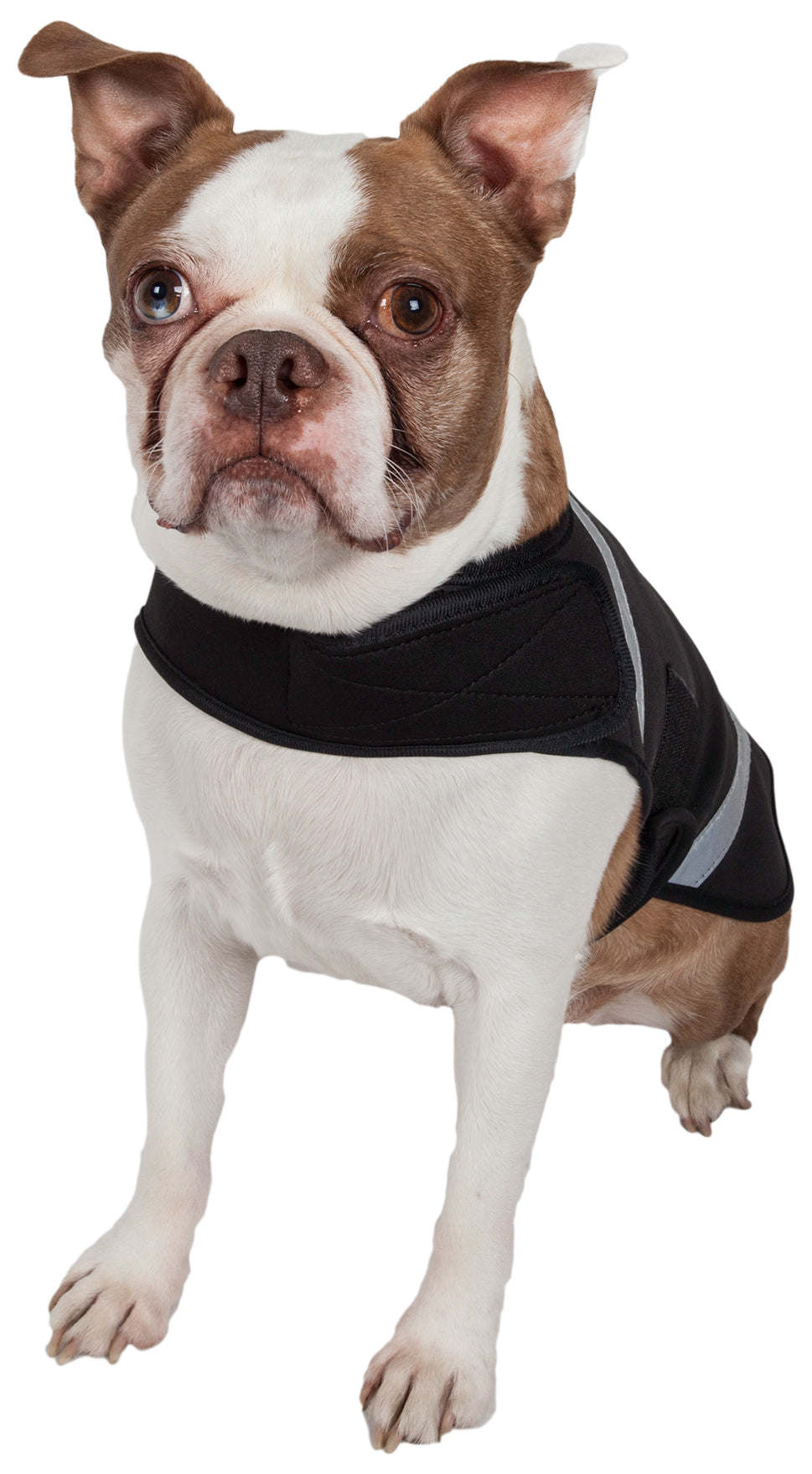 Extreme Neoprene Multi-Purpose Protective Shell Dog Coat in various sizes and colors, showcasing its adjustable features and durable neoprene material.