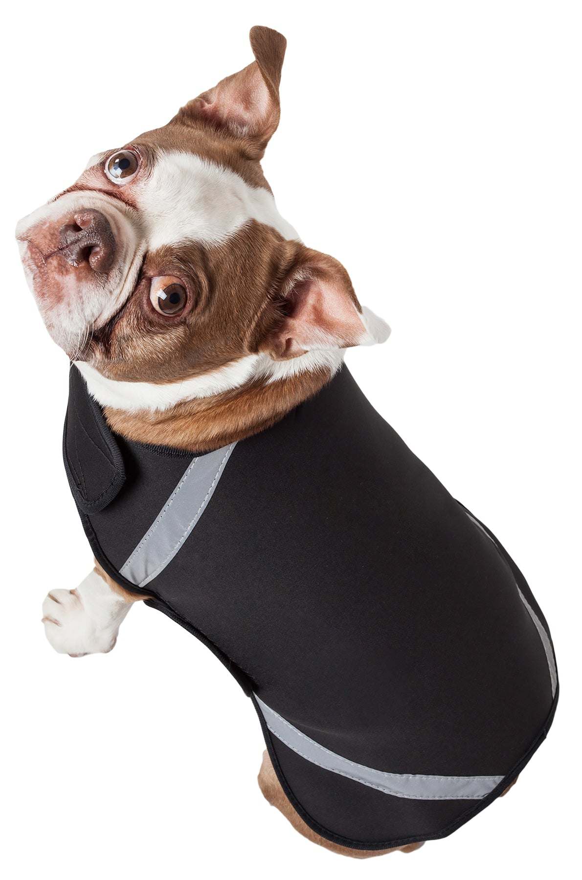 Extreme Neoprene Multi-Purpose Protective Shell Dog Coat in various sizes and colors, showcasing its adjustable features and durable neoprene material.