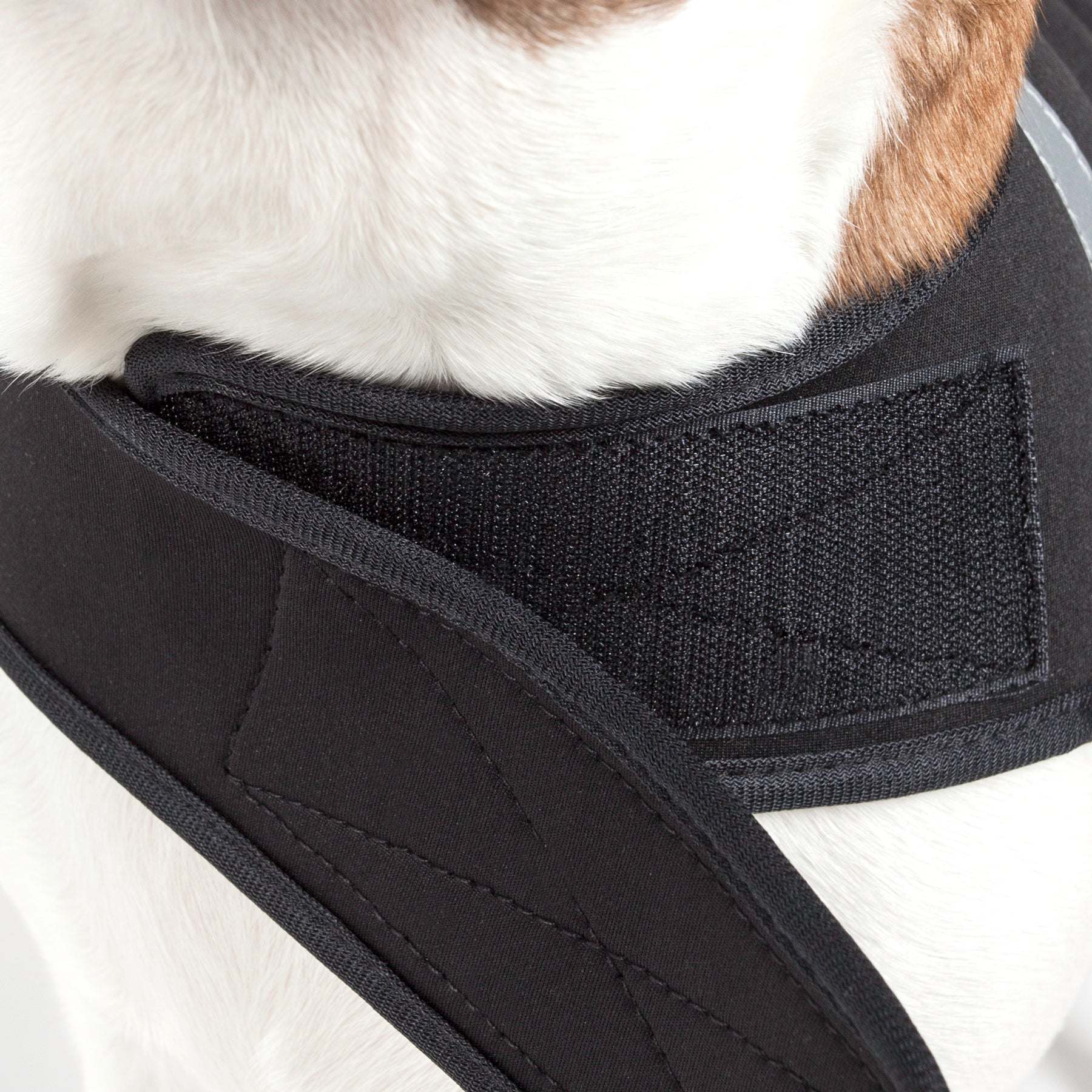 Extreme Neoprene Multi-Purpose Protective Shell Dog Coat in various sizes and colors, showcasing its adjustable features and durable neoprene material.