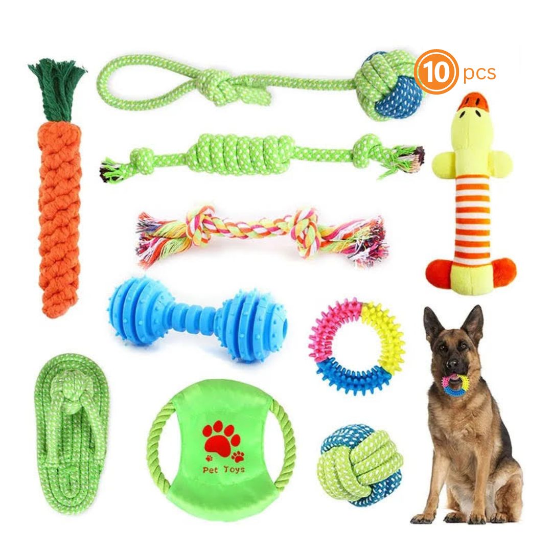 A colorful assortment of 10 bite-resistant molar dog toys designed for durability and dental health.