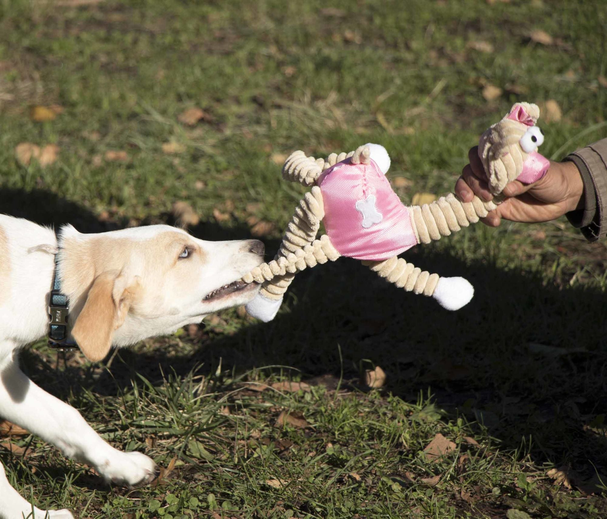 Eco-friendly jute and rope giraffe-shaped pig pet toy, designed for durability and oral hygiene, featuring squeakers at all edges.