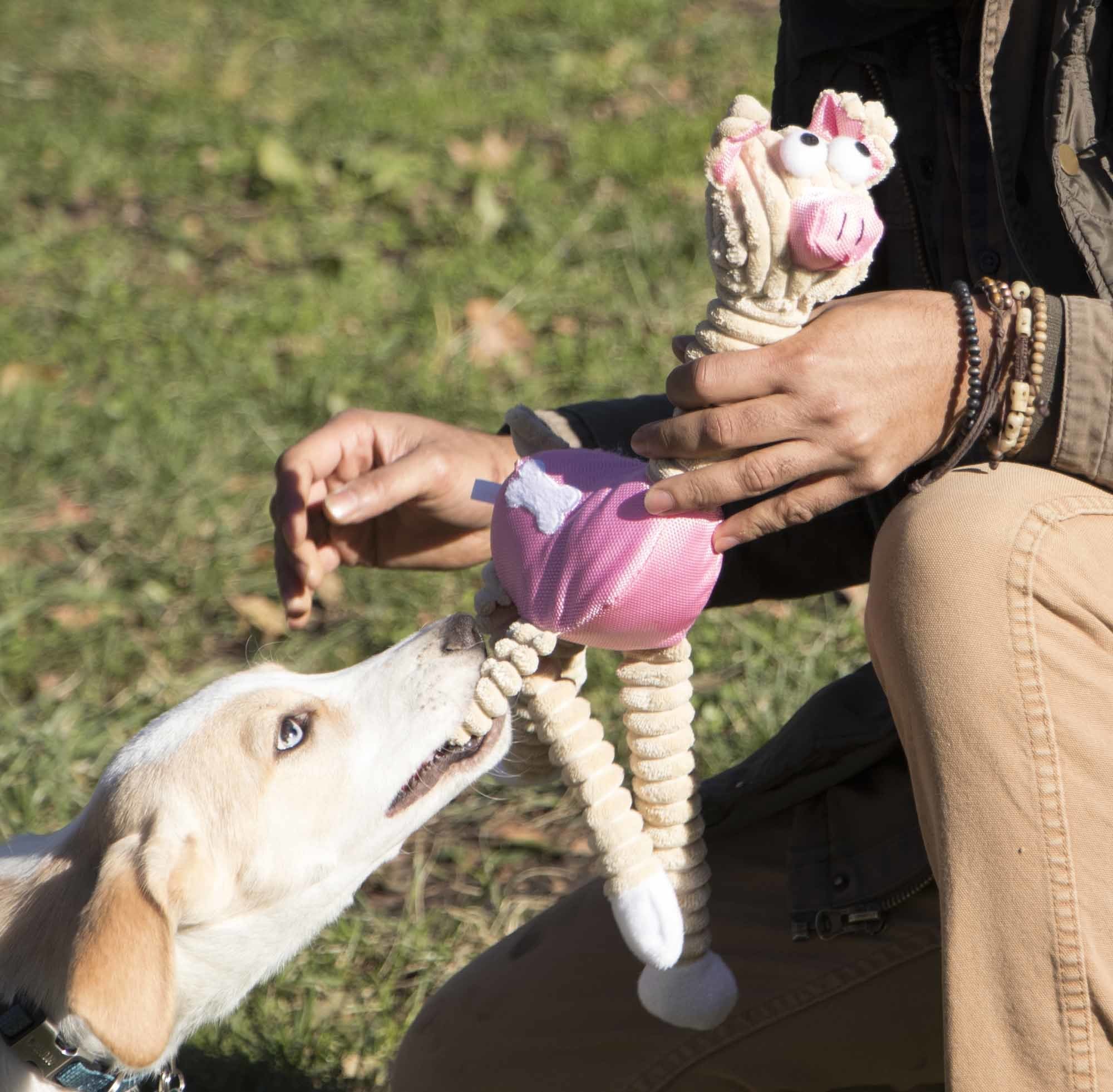 Eco-friendly jute and rope giraffe-shaped pig pet toy, designed for durability and oral hygiene, featuring squeakers at all edges.