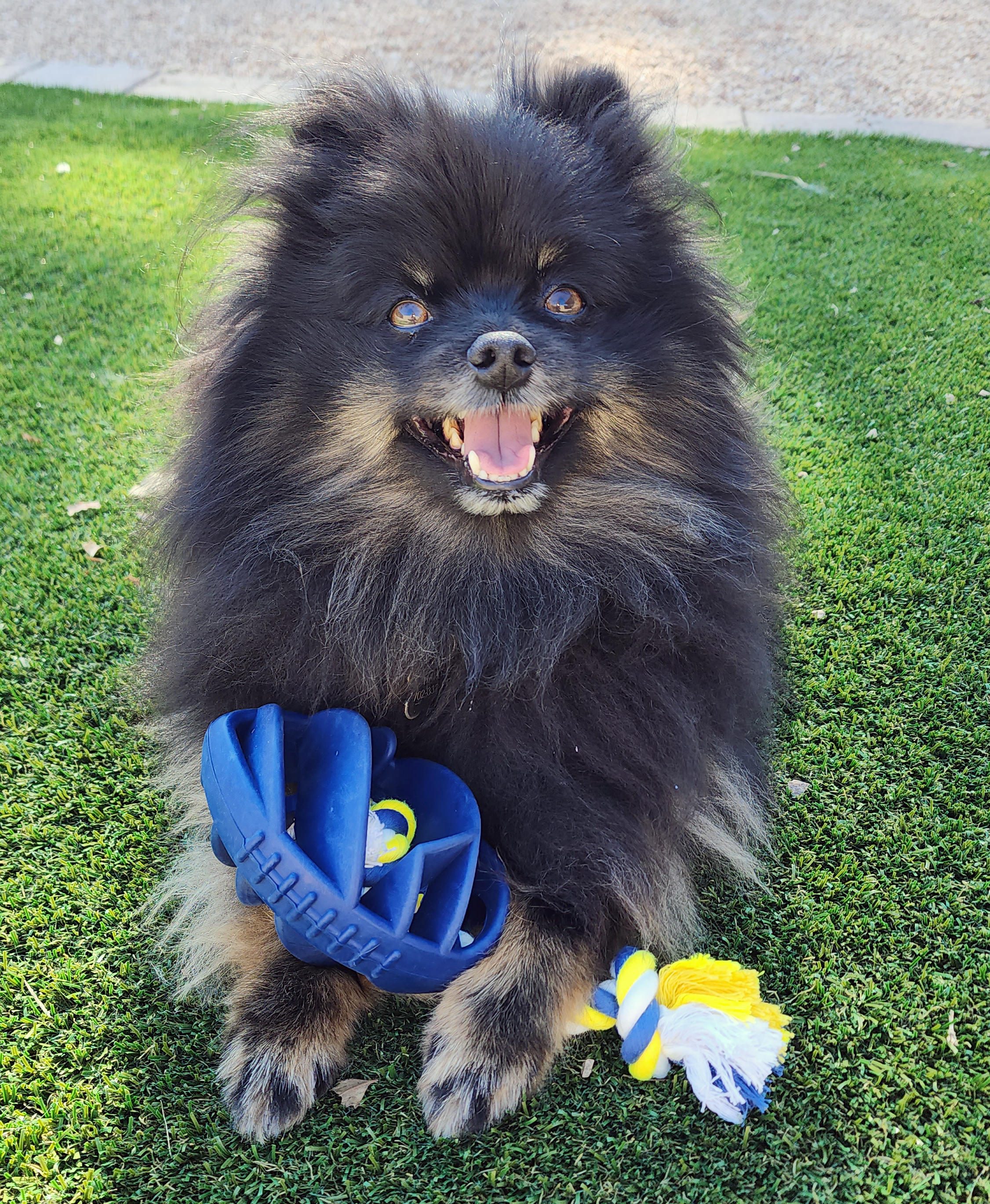 Rubber Football Dog Chew Toy with Tug Rope, featuring a durable rubber body and a sturdy rope for interactive play.