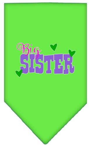 A stylish pet bandana featuring the screen printed text 'Big Sister', designed for dogs of all sizes, showcasing a vibrant and fun design.