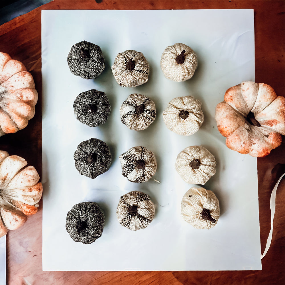 A collection of 12 mini pumpkins in beige, gray, and flannel patterns, perfect for fall and Halloween decor.