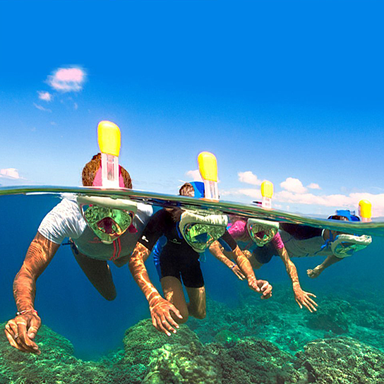 A full face snorkel mask with a transparent visor, designed for 180-degree views, featuring adjustable straps and a ventilated storage bag.