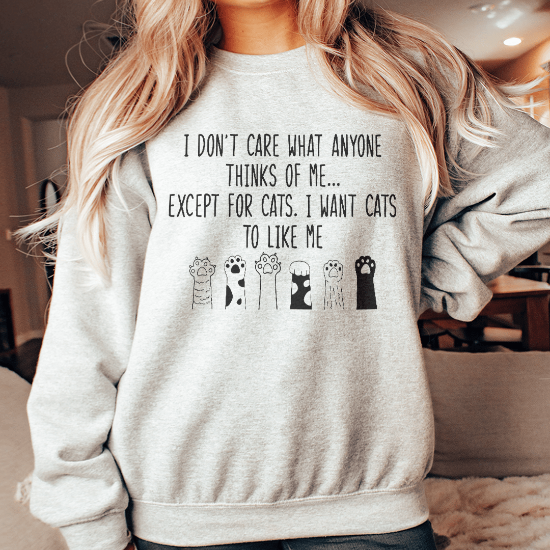 Cozy sweatshirt with the phrase 'I Want Cats To Like Me', featuring a warm fleece lining and adjustable cuffs.