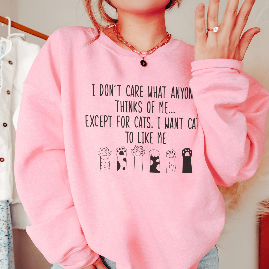 Cozy sweatshirt with the phrase 'I Want Cats To Like Me', featuring a warm fleece lining and adjustable cuffs.