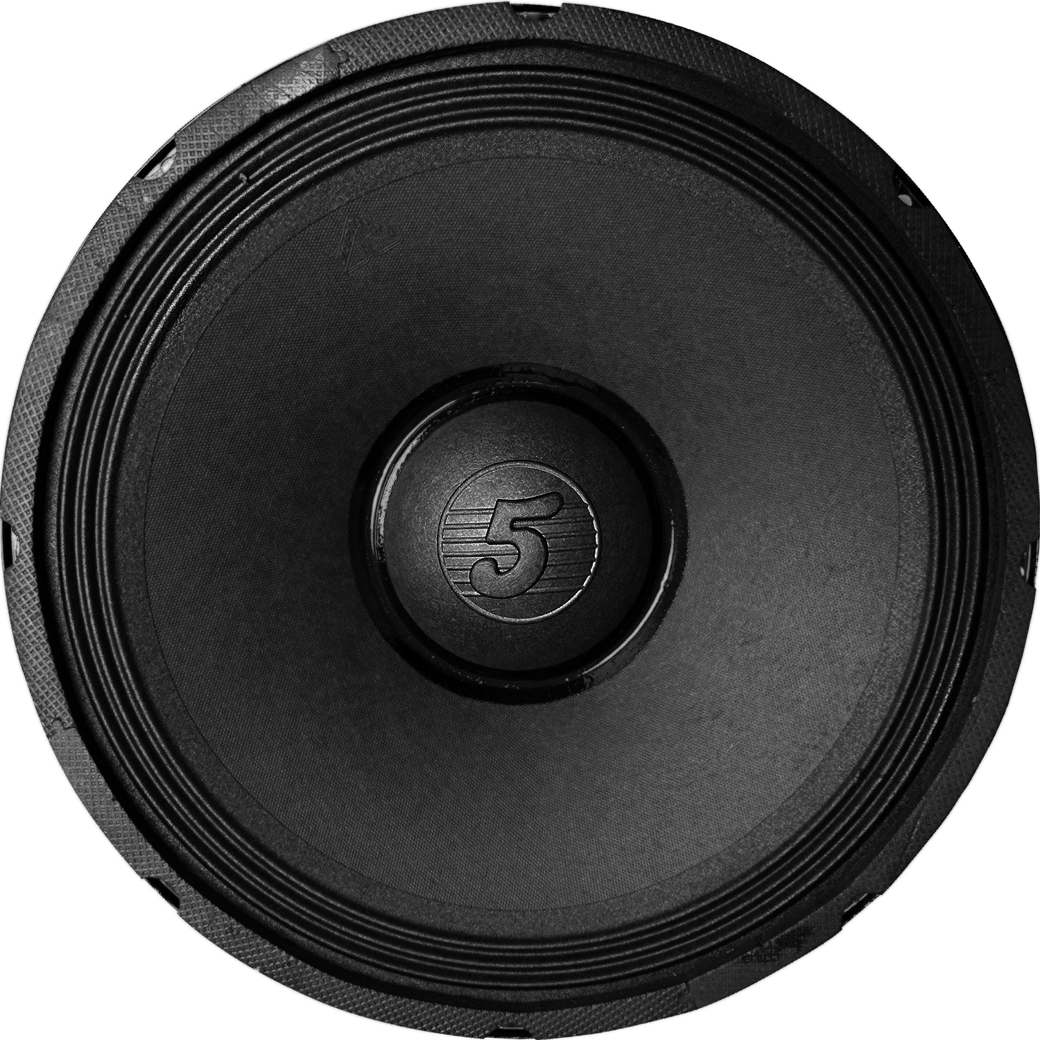 5 Core 15 Inch Subwoofer Speaker showcasing its robust design and features, ideal for DJs and home entertainment systems.