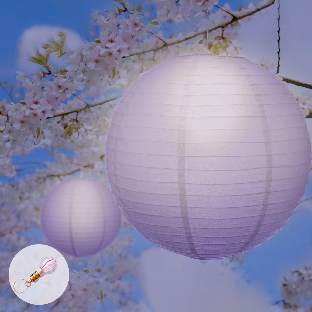 A collection of colorful 12-inch paper lanterns hanging elegantly, perfect for wedding and party decorations.