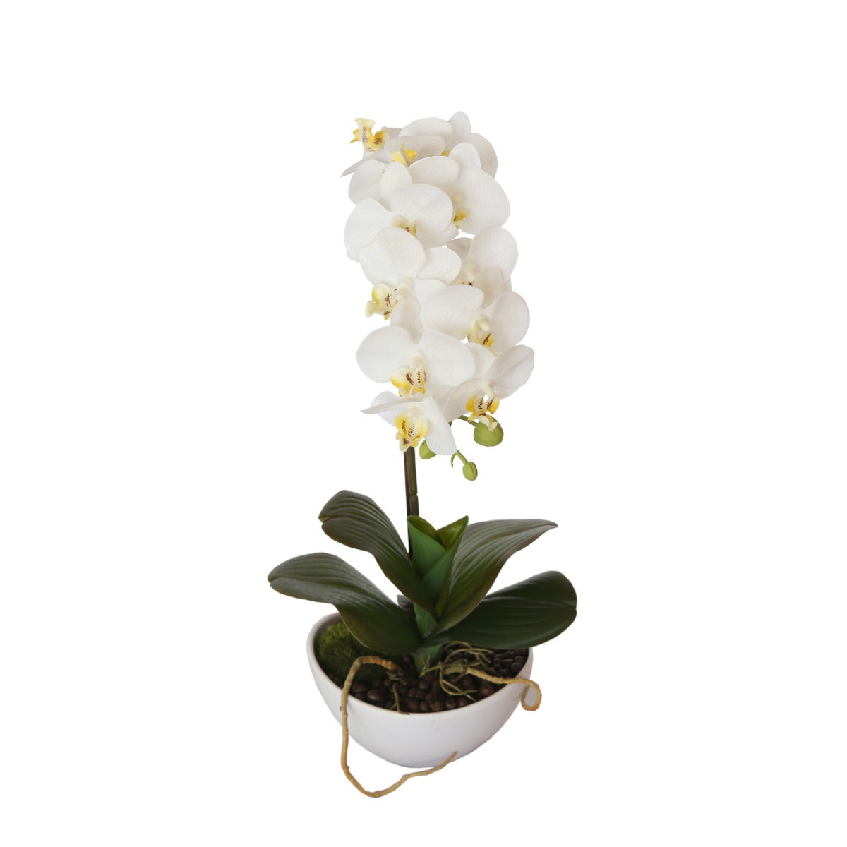 A beautiful 46cm white butterfly orchid in a pot, showcasing delicate petals and lifelike details, perfect for home or office decor.