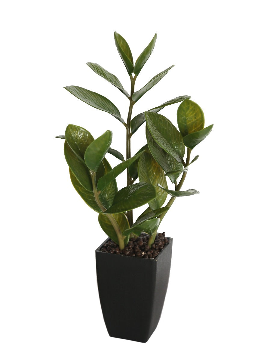 A 46cm Potted Zanzibar with realistic green foliage in a sleek black ceramic pot, perfect for indoor decoration.