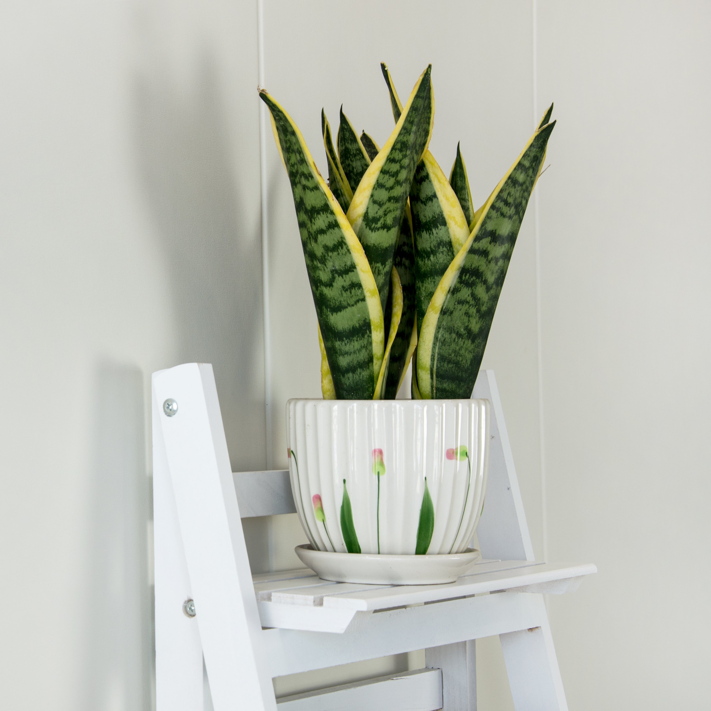 5 Tier Wooden Ladder Shelf Stand in white, showcasing five shelves for storage and display, perfect for books and decor.