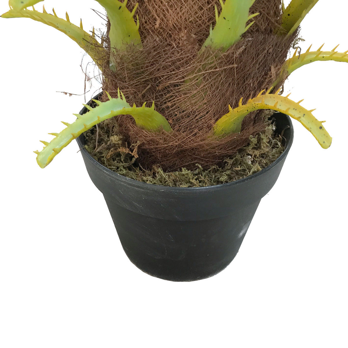 A lush 80cm Artificial Phoenix Palm with realistic leaves and a sturdy base, perfect for home or office decor.