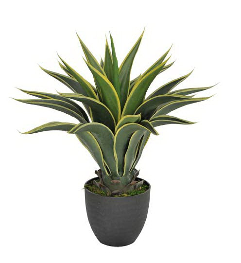 A 60cm tall artificial agave plant with vibrant green and yellow spiny leaves in a stylish black planter, perfect for indoor decor.