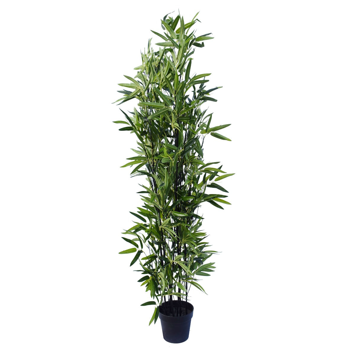 A tall 180cm Artificial Black Bamboo tree with real touch leaves, showcasing lush green foliage and sturdy bamboo canes in a basic plastic pot.