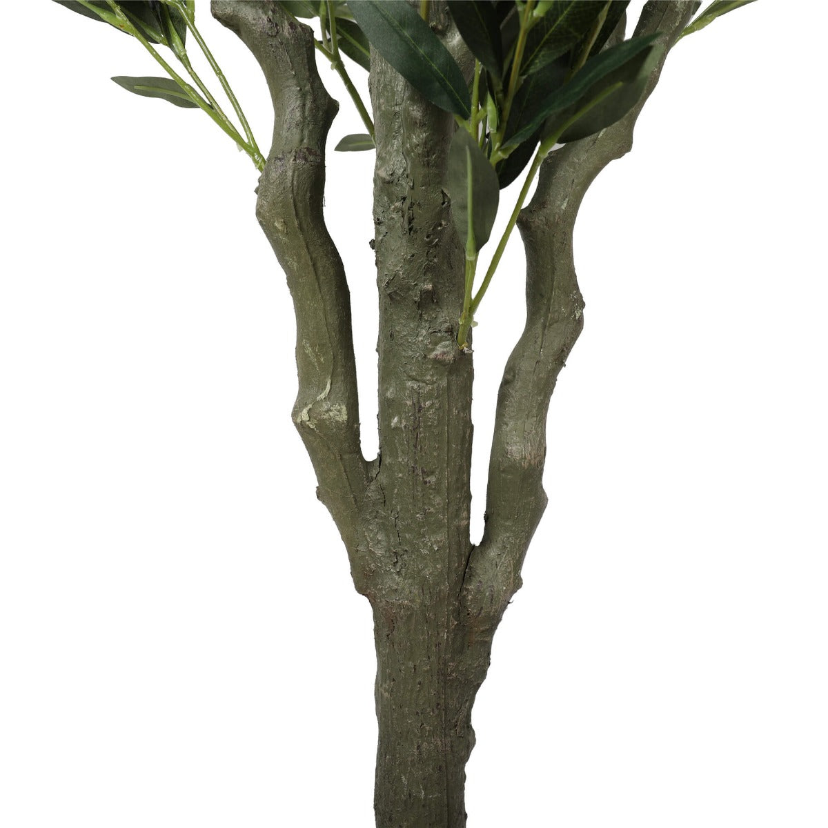 A 180cm tall artificial bushy olive tree with realistic olives and sage-colored leaves in a black pot, perfect for indoor decoration.