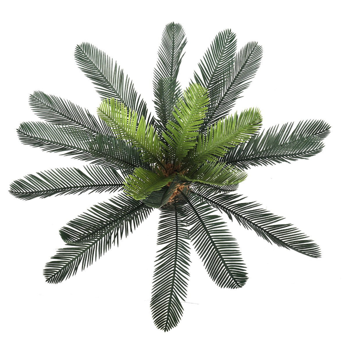 A 60cm tall Artificial Cycad Plant in a small pot, featuring realistic mixed greens and browns, perfect for indoor decoration.