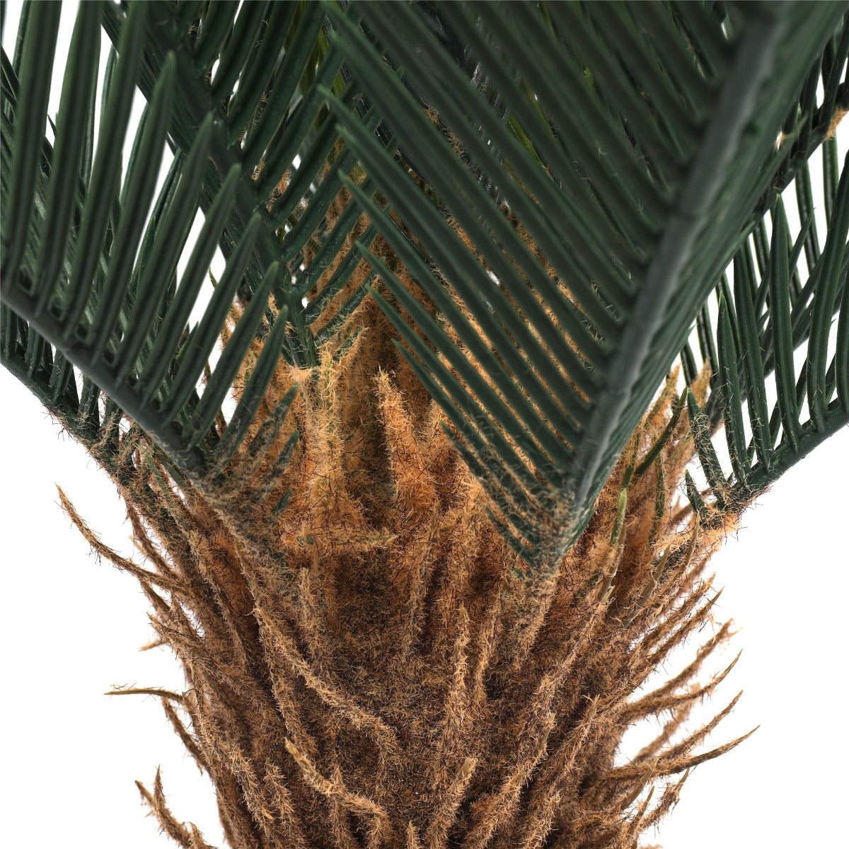 A 60cm tall Artificial Cycad Plant in a small pot, featuring realistic mixed greens and browns, perfect for indoor decoration.