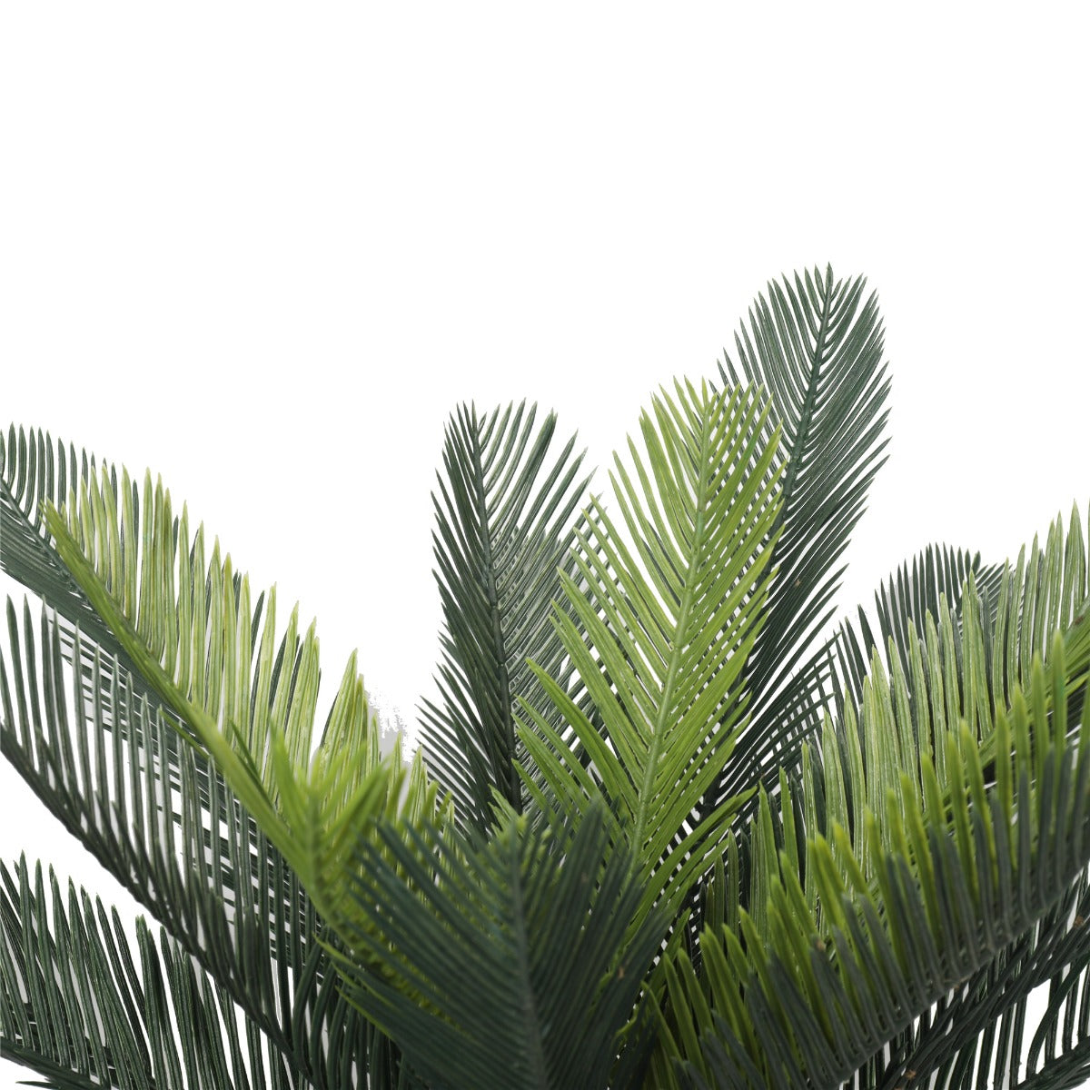 A 60cm tall Artificial Cycad Plant in a small pot, featuring realistic mixed greens and browns, perfect for indoor decoration.