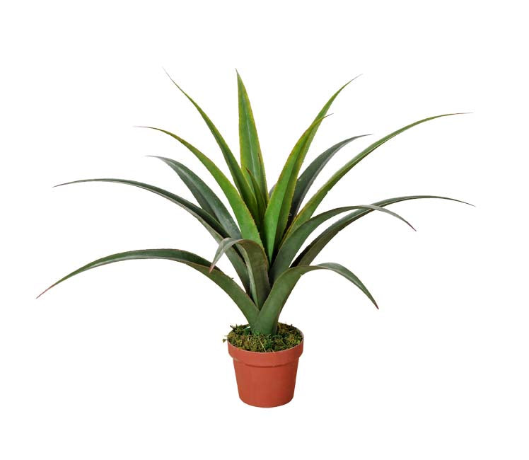 A vibrant 80cm artificial Dracaena plant with long green leaves in a basic plastic pot, perfect for indoor decoration.