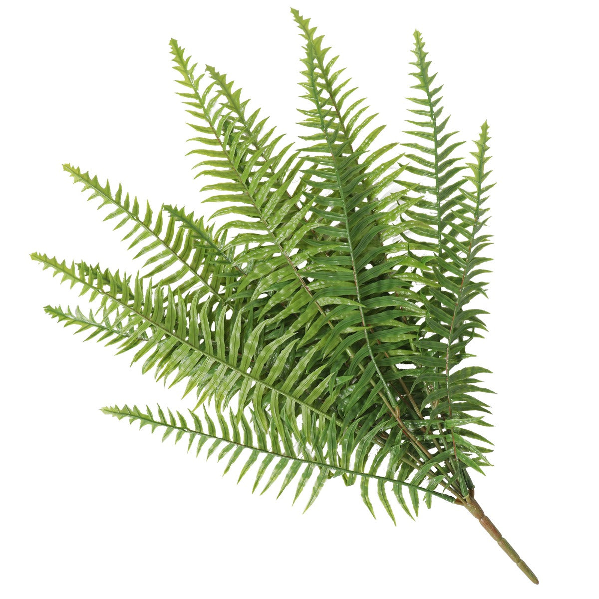 A 50cm artificial lady fern with vibrant green leaves, designed for indoor and outdoor use, showcasing its realistic appearance and UV resistance.