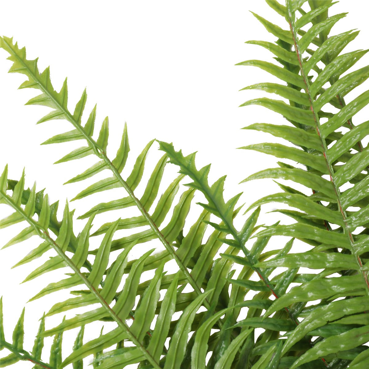 A 50cm artificial lady fern with vibrant green leaves, designed for indoor and outdoor use, showcasing its realistic appearance and UV resistance.